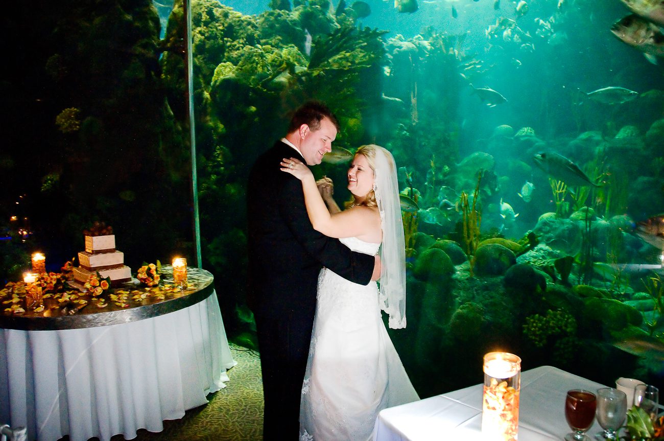 Florida Aquarium Tampa Wedding Photographers